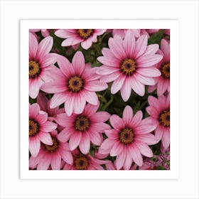 Pink Daisy Art Print