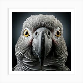 Portrait Of A Parrot Art Print