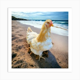 Chicken feather sun bathing Art Print