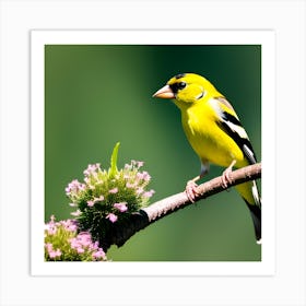 Goldfinch 13 Art Print