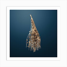 Gold Botanical Normal Spadice of the Palm on Dusk Blue n.3888 Art Print