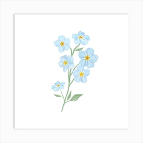 Forget Me Not Flowers Art Print