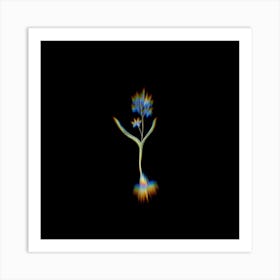 Prism Shift Alpine Squill Botanical Illustration on Black n.0041 Art Print