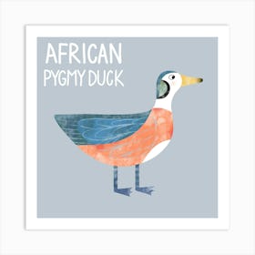 African Pygmy Duck Póster