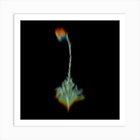 Prism Shift Scarlet Martagon Lily Botanical Illustration on Black n.0087 Art Print