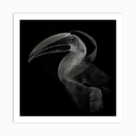 Toucan 12 Art Print