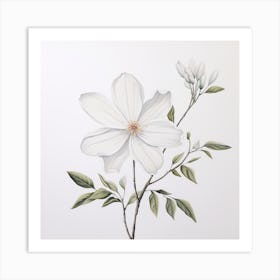 White Magnolia Art Print