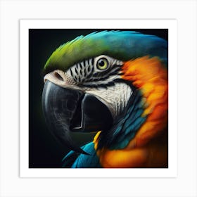 Portrait Of A Parrot Art Print