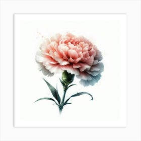 Carnation Flower 1 Art Print