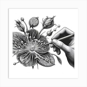 Flower Drawing Art Print