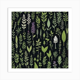 Collection Of Herbs Art Print