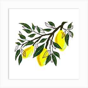 Lemons On A Branch Art Print