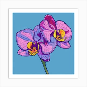 Orchids 21 Art Print