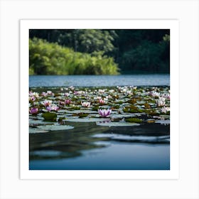 Water Lilies Art Print