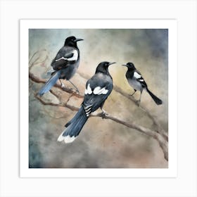 Magpies 8 Art Print