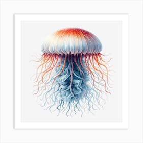 Jellyfish 7 Art Print