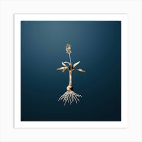 Gold Botanical Scilla Lingulata on Dusk Blue n.4048 Art Print