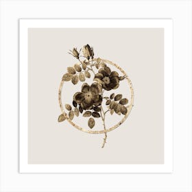 Gold Ring Austrian Briar Rose Glitter Botanical Illustration n.0318 Art Print