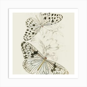 Butterflies And Flowers Art Print