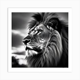 Lion Portrait 1 Art Print