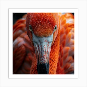 Flamingo 20 Art Print