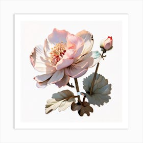 Chinese Flower Art Print