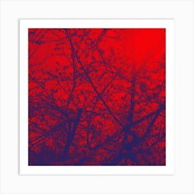 Red Sky Art Print