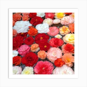 Flowers In Water Art Print