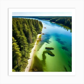 Forest Water Nature Tree Copy Space Creek Summer Sand Aerial Moss Clear Sky Vacation Sun (4) Art Print