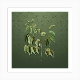 Vintage Common Hackberry Botanical on Lunar Green Pattern n.2012 Art Print
