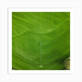 Lawn Green Grass Line Drone Person Surface Field Descending Adult Day Greenery Sharpened (4) Art Print