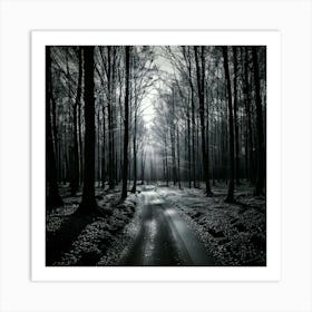 Firefly Noir Forest A Monochromatic Look With High Contrast And Deep Shadows 3 Póster