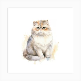 Scottish Fold Longhair Cat Portrait 1 Art Print