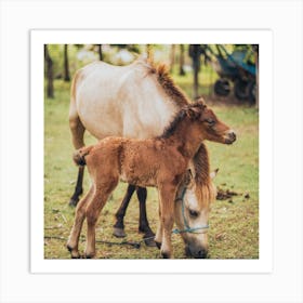 Horse And Foal Art Print