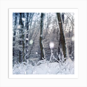 Snowy Forest 1 Art Print