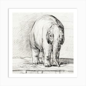 Standing Elephant, Jean Bernard Art Print