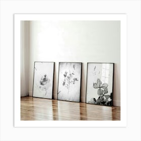 Black And White Flowers Art Print