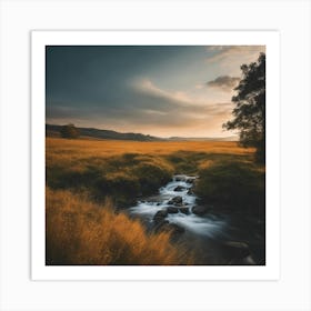 Sunset In A Field 2 Art Print