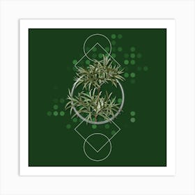 Vintage Bitter Willow Botanical with Geometric Line Motif and Dot Pattern n.0042 Art Print