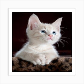 White Kitten With Blue Eyes Art Print