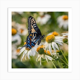 Swallowtail Butterfly Art Print