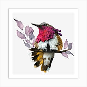 Hummingbird 5 Art Print