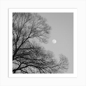 Full Moon Loves Winter Tree Black And White Square Art Print