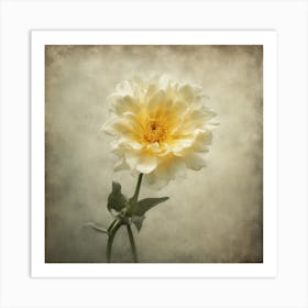 Dahlia Art Print