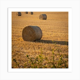 Hay Bales In A Field 1 Art Print