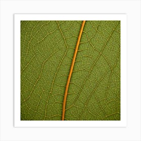 A Macro Shot Of A Textured Leaf With Intricate Vein Patterns Art Print