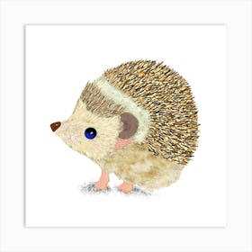 Hedgehog 1 Art Print