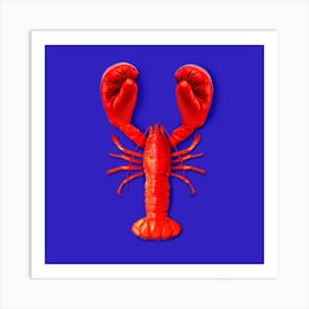 Lobster Fighting Square Art Print