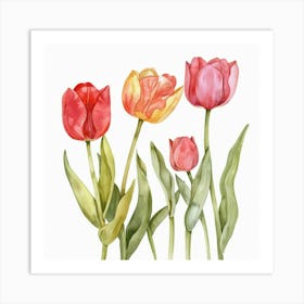 Watercolor Tulips 1 Art Print