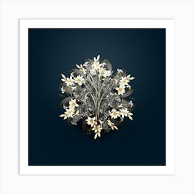 Vintage Narcissus Candidissimus Flower Wreath on Teal Blue n.1146 Art Print